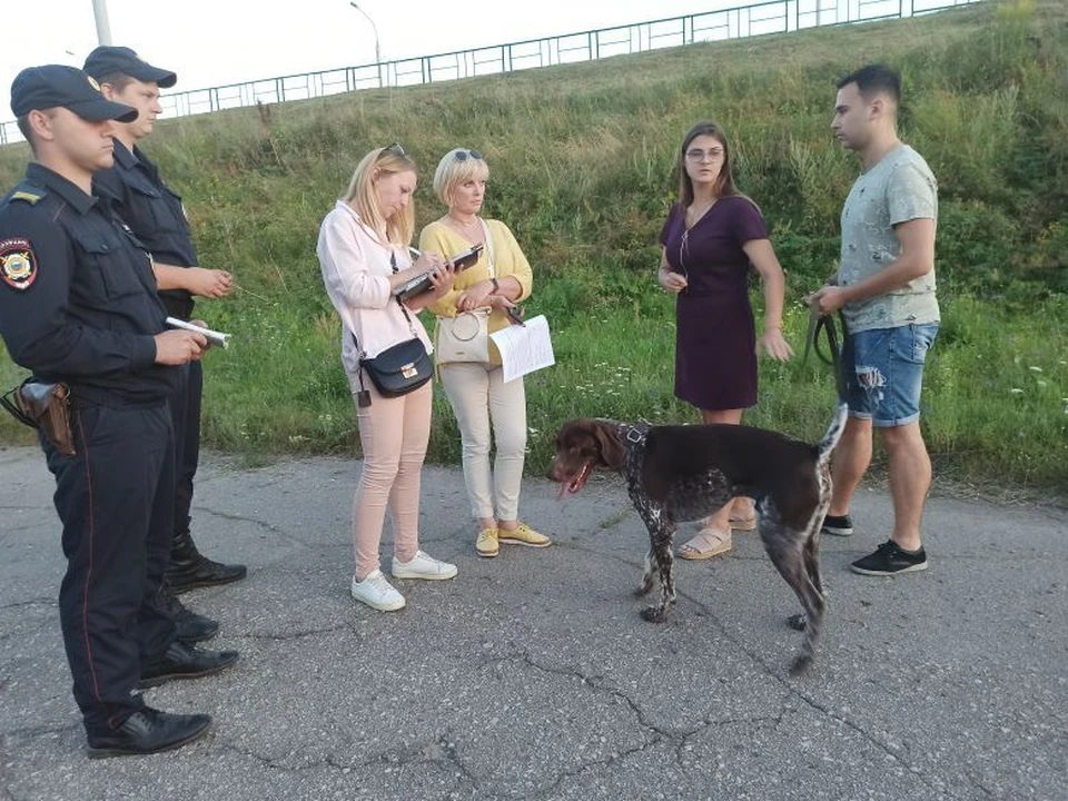 В Калуге прошёл рейд по собакам.