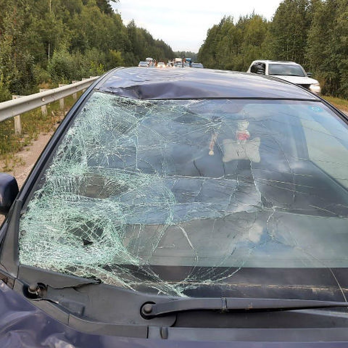 На Серовском тракте под колесами автомобиля погиб профессиональный  велоспортсмен - KP.RU