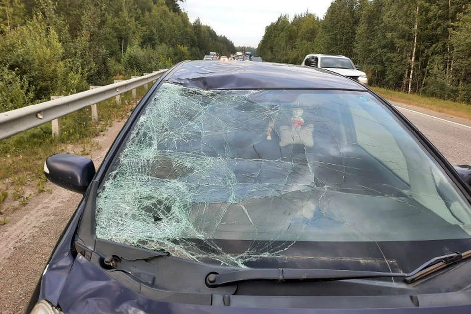 Фото: УГИБДД по Свердловской области