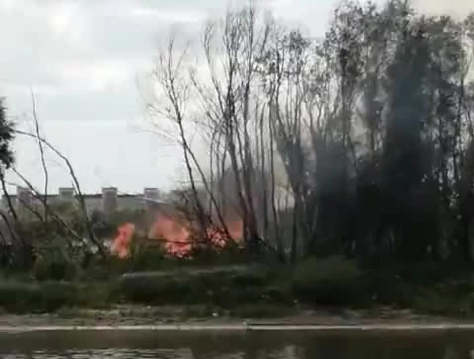 Полыхала высохшая за время жары трава. Фото: скрншот из видео
