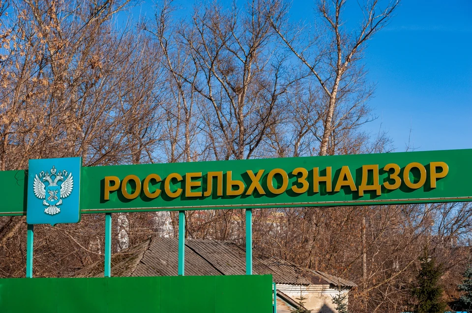 На передвижной ярмарке в Орле изъяли 65 килограмм рыбных деликатесов