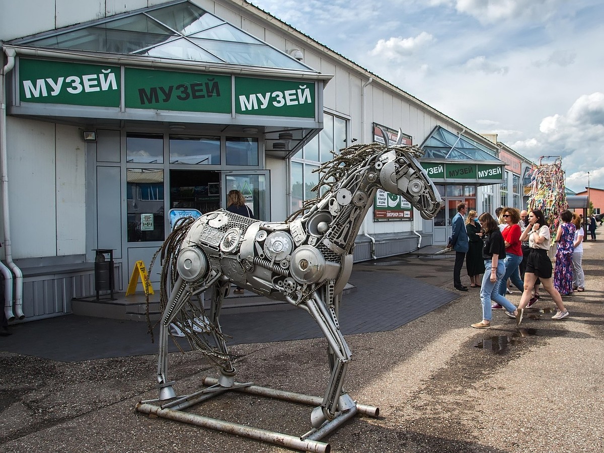 Под Зеленоградском откроется музей мусора - KP.RU