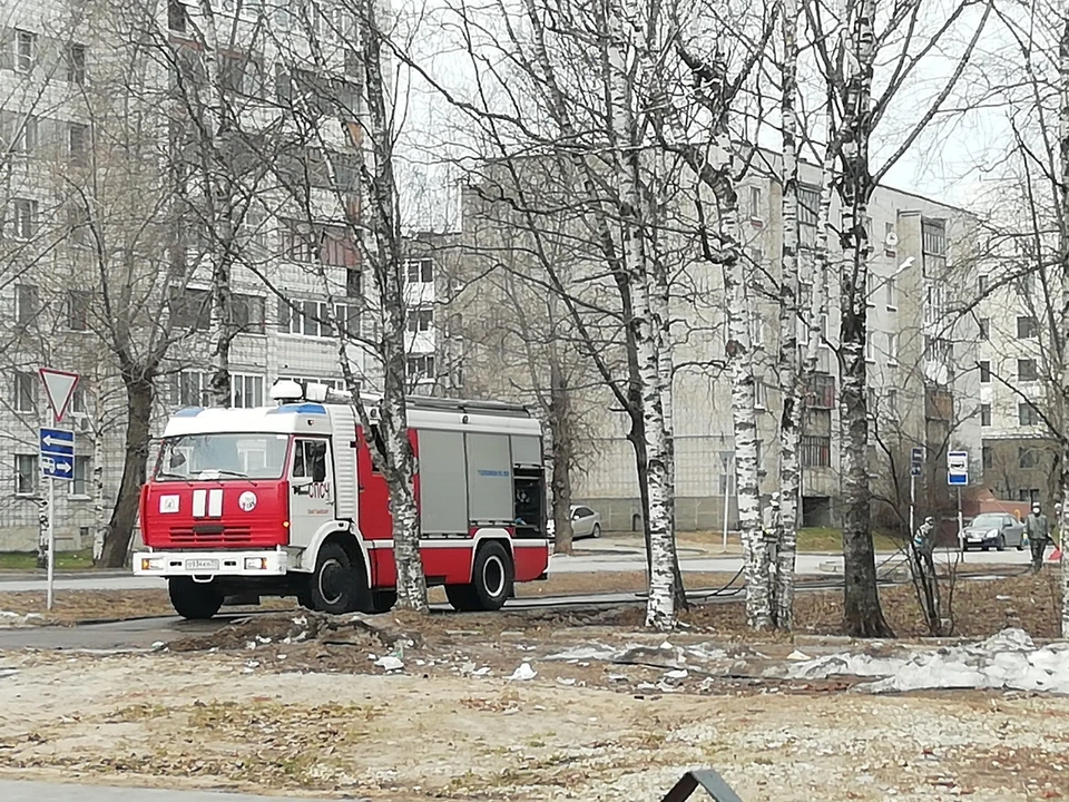 Фото: Екатерина САВЕНКО