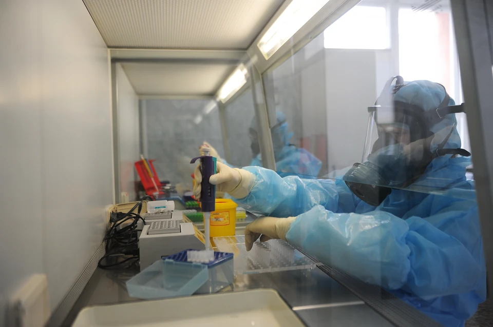 С начала пандемии в регионе провели 567 117 тестов на COVID-19.