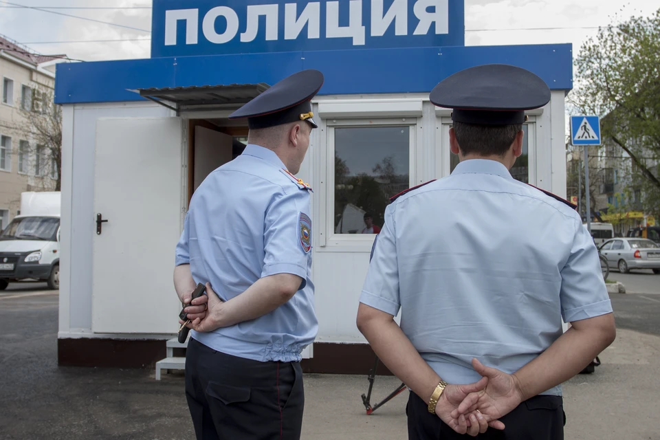 Хозяйка кошки не могла предположить, что кто-то посмеет надругаться над животным.