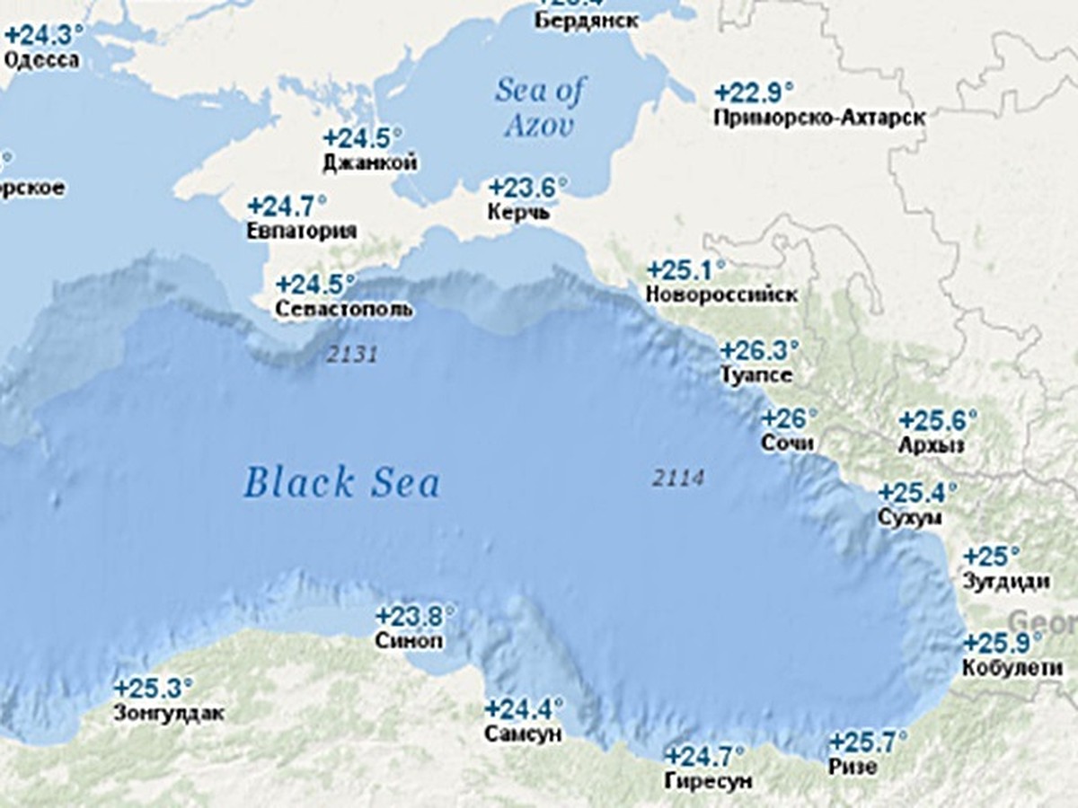 Температура черного моря ольгинка