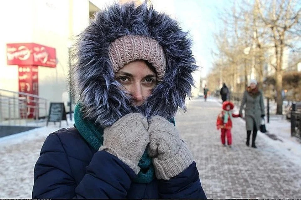 Климатолог предупредила россиян о суровой зиме в 2020 году