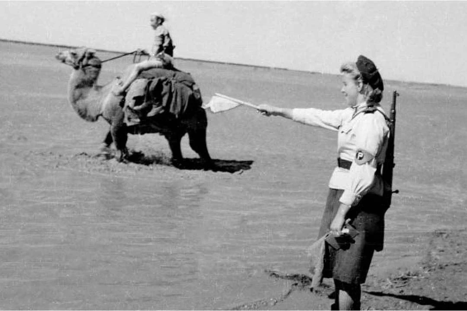 В августе 1945-го Красной армии пришлось преодолевать пустыню Гоби. Пригодились верблюды... Фото: Петр ПАРХОМЕНКО/РИА Новости