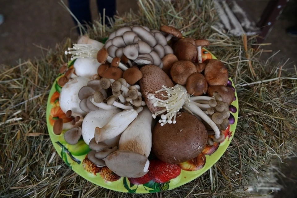 Грибы пострадавшие собирали сами