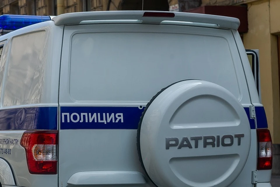 Жителя Петербурга подозревают в убийстве тещи.