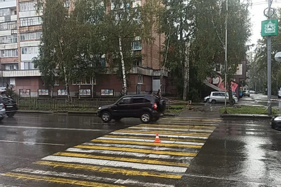 фото: УМВД по Томской области.