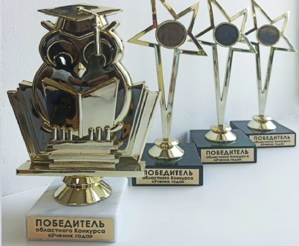 Награды выглядят так. Фото: правительство Амурской области