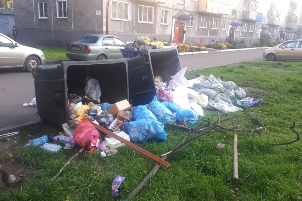 В Междуреченске нашли части тела расчлененного мужчины. ФОТО: vk.com, "Говорящий Междуреченск"
