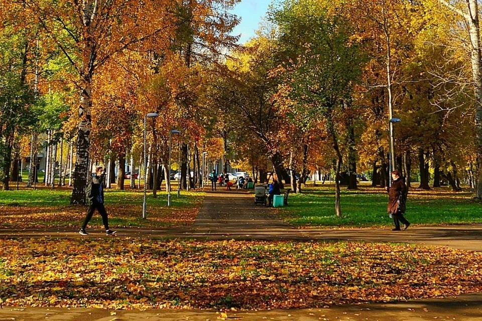 Парк гагарина киров фото Кировчан просят рассказать, какой Гагаринский парк им нужен - KP.RU