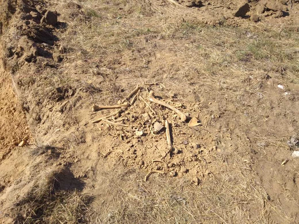 Человеческие кости найдены в Марксе