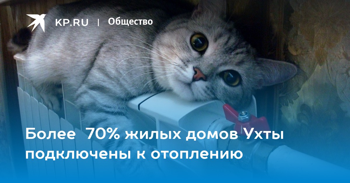 Прийти тепло. Когда в Питере включат отопление. Правда в Питере включили отопление.