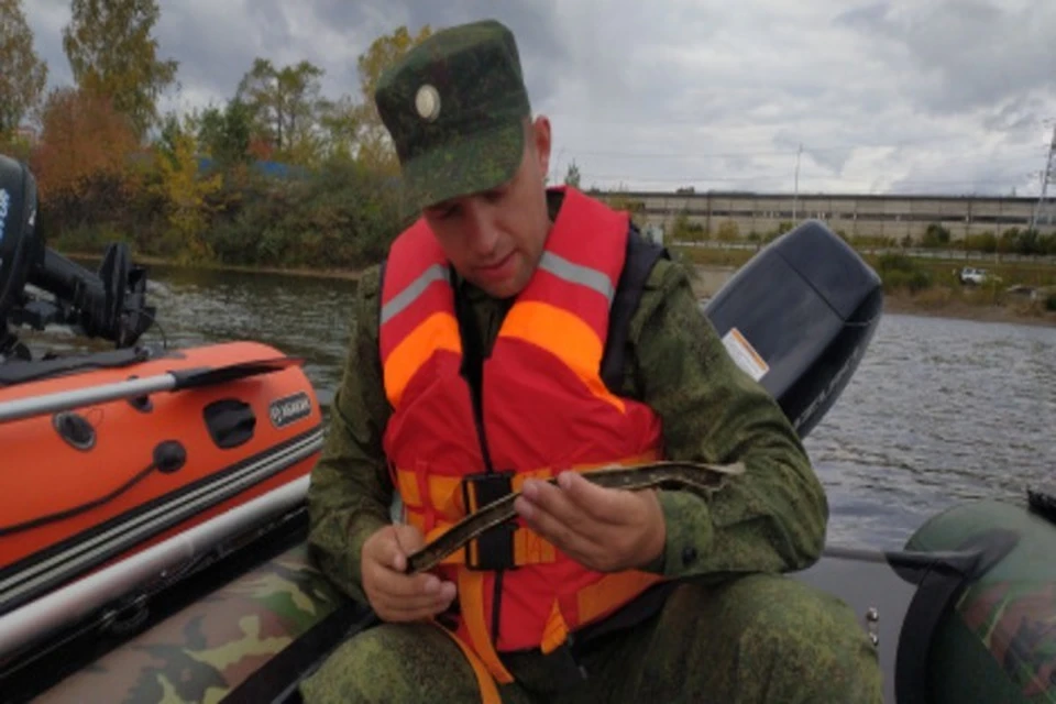 Этот обломок может оказаться частью обшивки упавшего самолета Фото: Красноярское краевое отделение РГО
