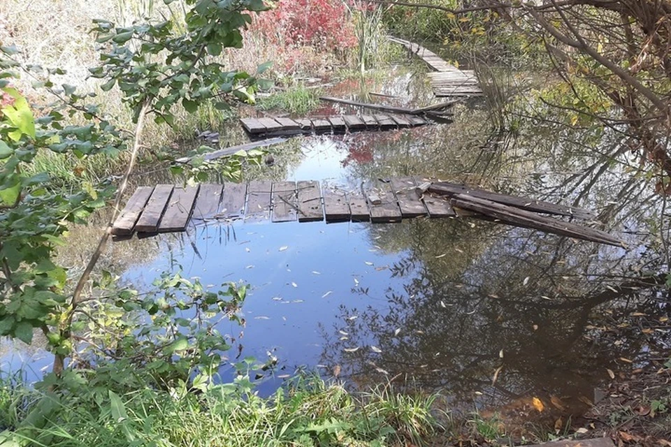Фото: соцсети