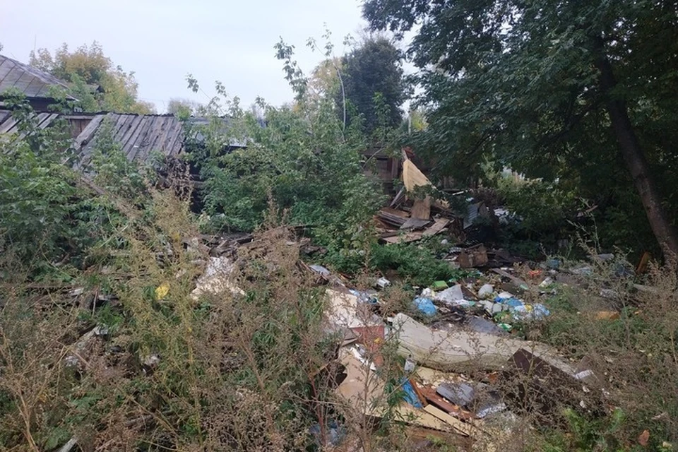 Фото: соцсети