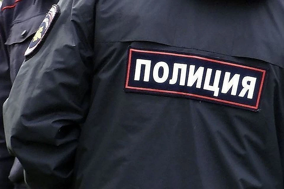 В Тверской области полицейские поймали дачного вора Фото: архив "КП"
