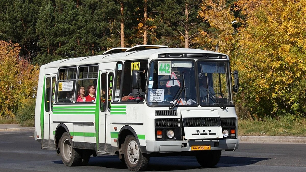паз томск 2023. томск северск маршрут. 401. пазик северск 442 маршрут. маршрут 442 северск томск.