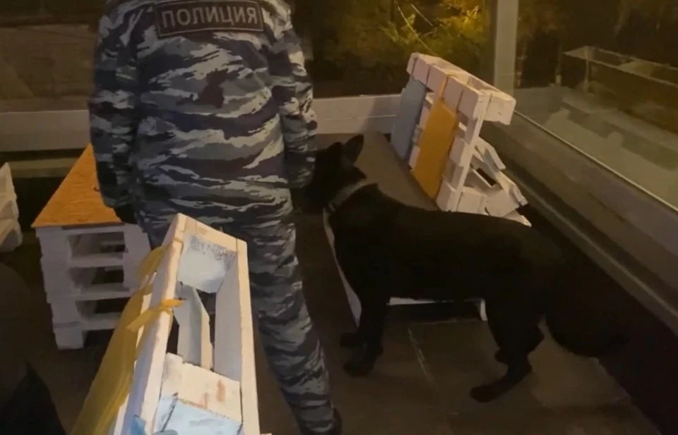 С начала года силовики провели 6 рейдов