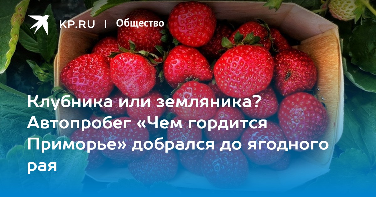Клубника Новое 2022 Года