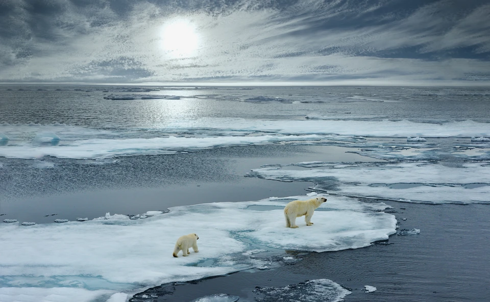 В Арктике наблюдается резкое потепление и таяние льда