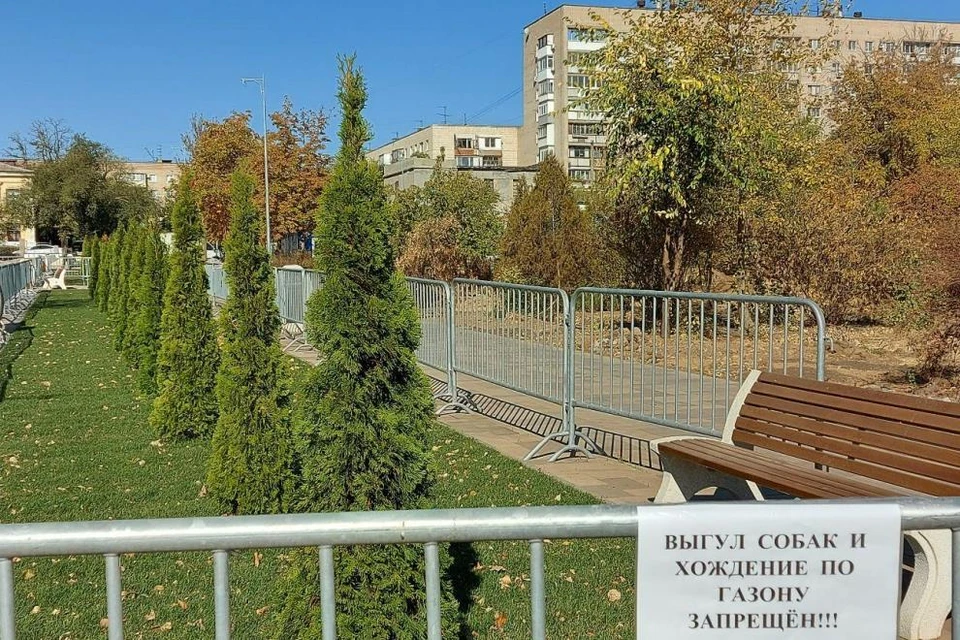 Туи появились на боковых аллеях у ДК Гагарина.