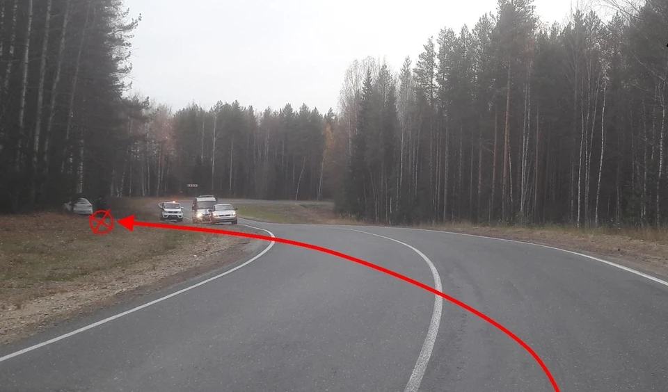 Фото: управление ГИБДД по Коми
