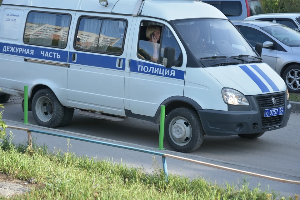 Полиция быстро вычислила хулиганов.