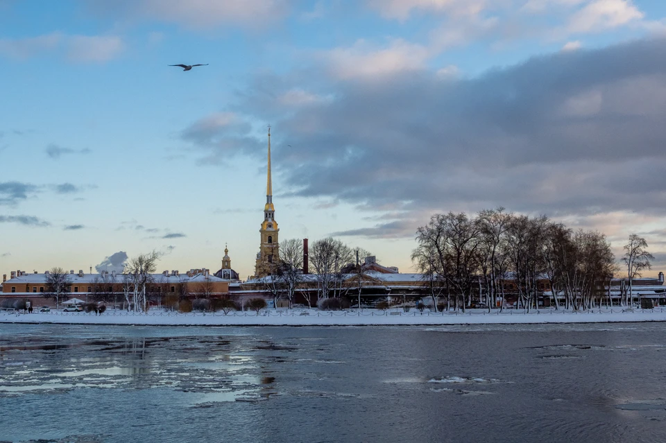 Климатическая зима в этом году придет в Санкт-Петербург в начале третьей декаде ноября.