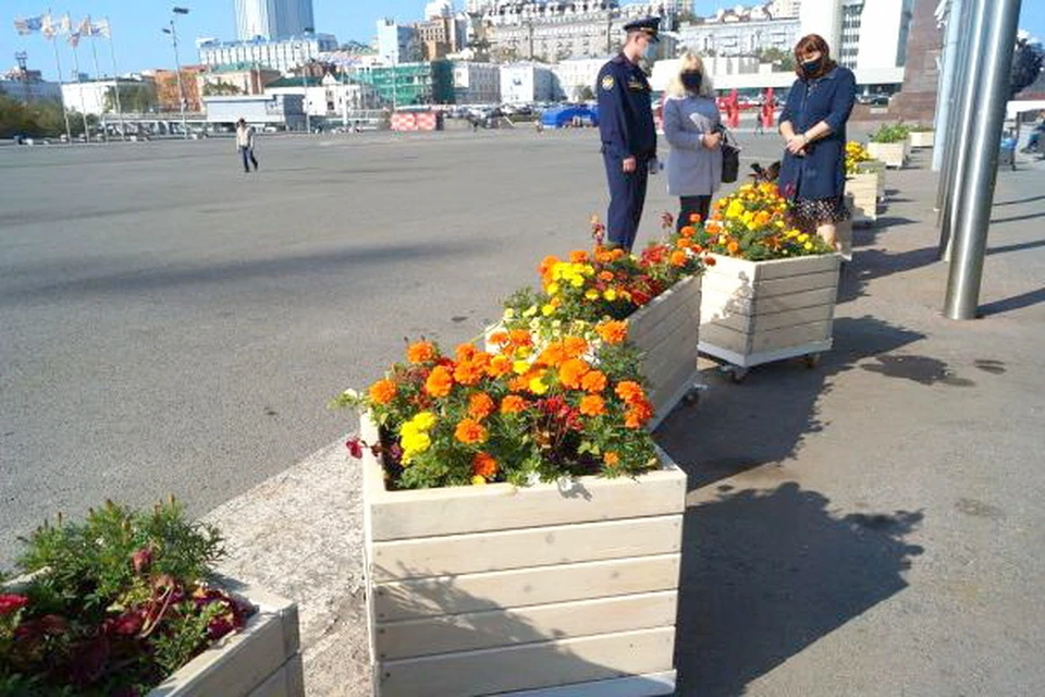 В августе мобильные вазоны на колесиках уже появились на центральной площади Владивостока. Фото: пресс-служба ГУФСИН России по Приморскому краю