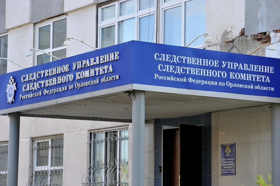 Орловчанке вынесли обвинительный вердикт за расправу над сожителем