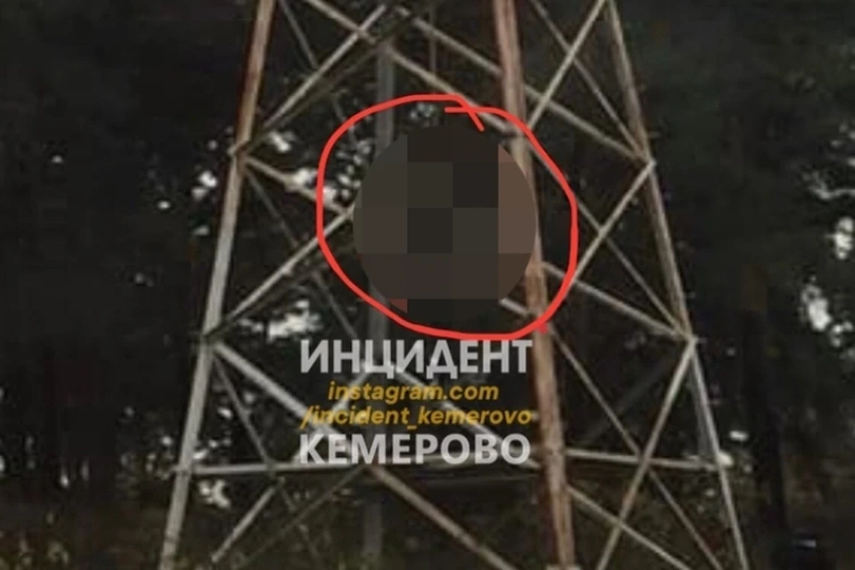 Труп мужчины обнаружили на ЛЭП в кемеровском бору. Фото: Инцидент Кемерово/ vk.com