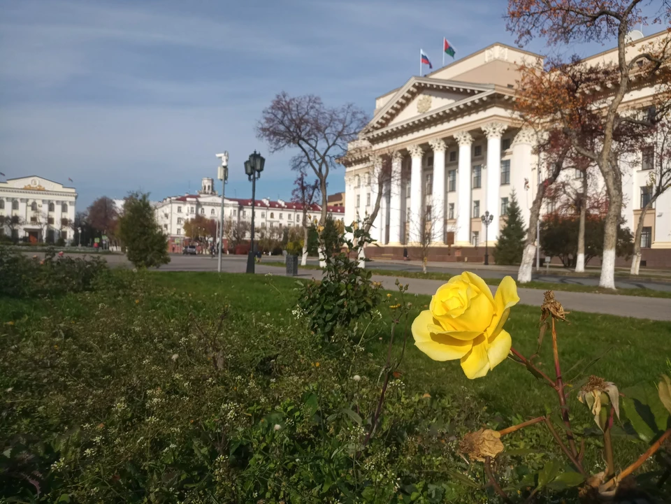 Днем небесная канцелярия грозит дождем, переходящим в мокрый снег