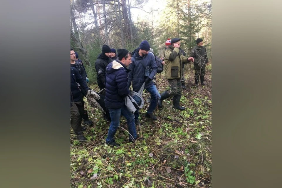 Поиски пропавшей в лесу 14-летней школьницы прекращены. ФОТО: пресс-служба ГУ МВД России по Кемеровской области.
