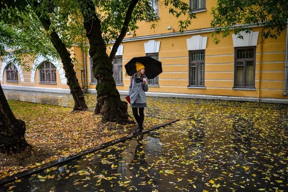 В понедельник и последующие дни на Белгородчине будет прохладно.