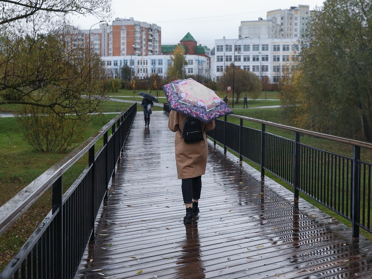 Мини-города внутри Москвы: Квартира, офис, шопинг и пляж с шезлонгами - в  одном месте - KP.RU