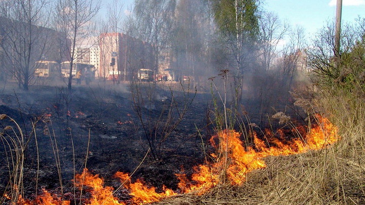 В Енакиево сотрудники МЧС спасли 89-летнюю жительницу - KP.RU