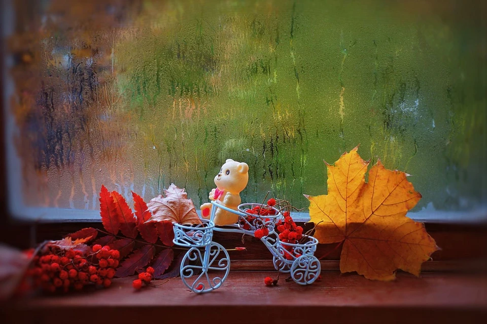 Сегодня в Молдове ожидается сильный дождь. Фото: fotoload.ru