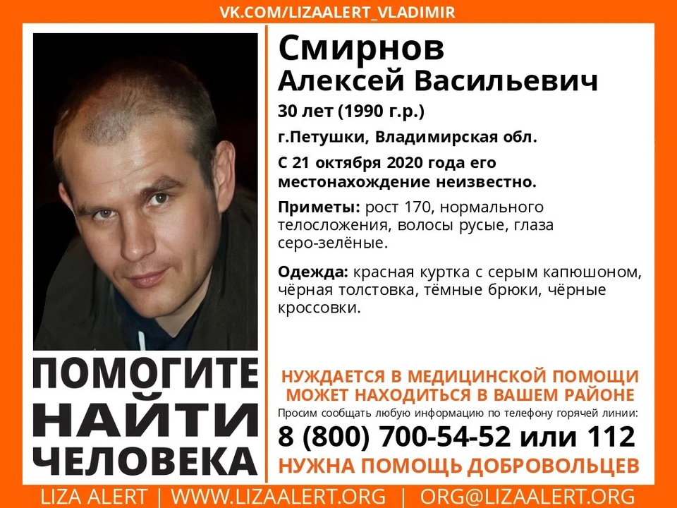 Фото: поисковый отряд "Лиза Алерт"
