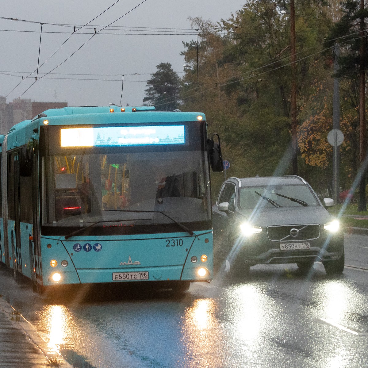 Новые комфортные автобусы появятся на маршрутах из Санкт-Петербурга в  Пушкин и Колпино - KP.RU