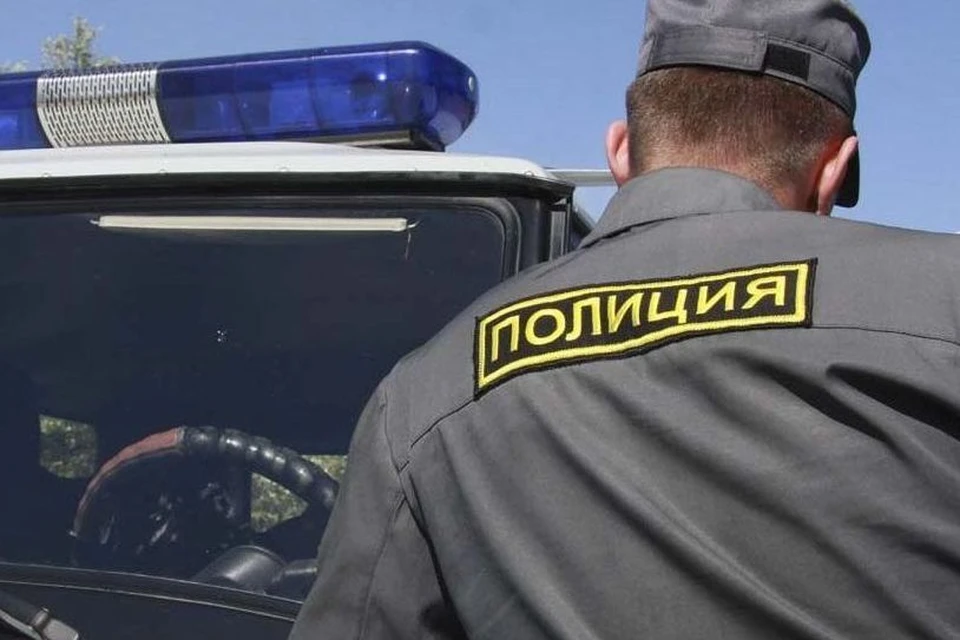 Полицейские проводят проверку.