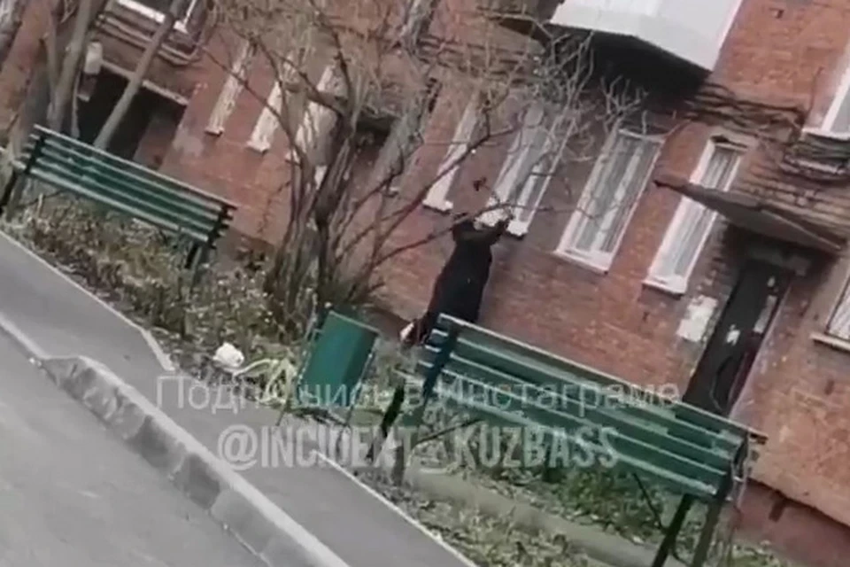 Кемеровчанка топором изрубила окно квартиры. ФОТО: vk.com, "Инцидент Кузбасс"