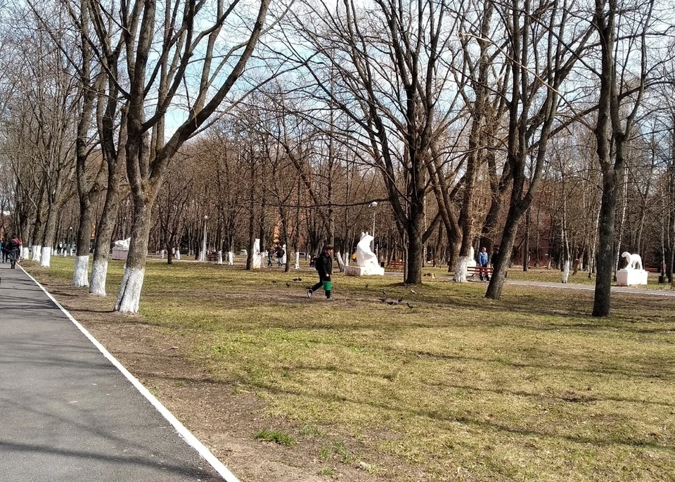 Субботник состоится ноября в 12:30, сбор возле школы № 55