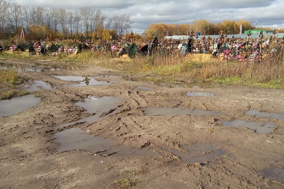 В Ярославской области увеличилась смертность