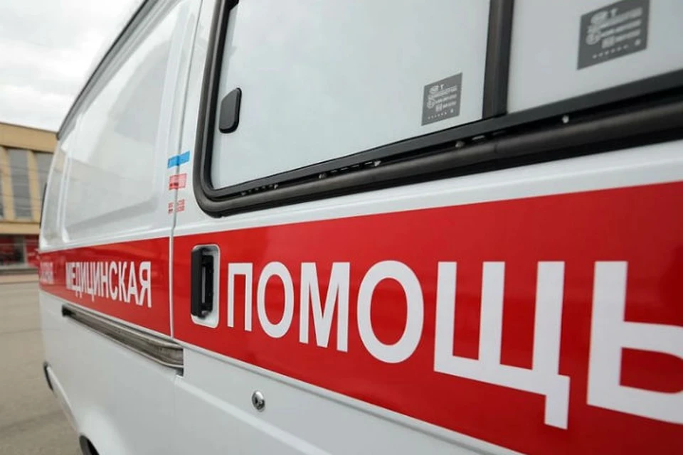 Дворняга насмерть растерзала ребенка во дворе дома. Врачи помочь не смогли.