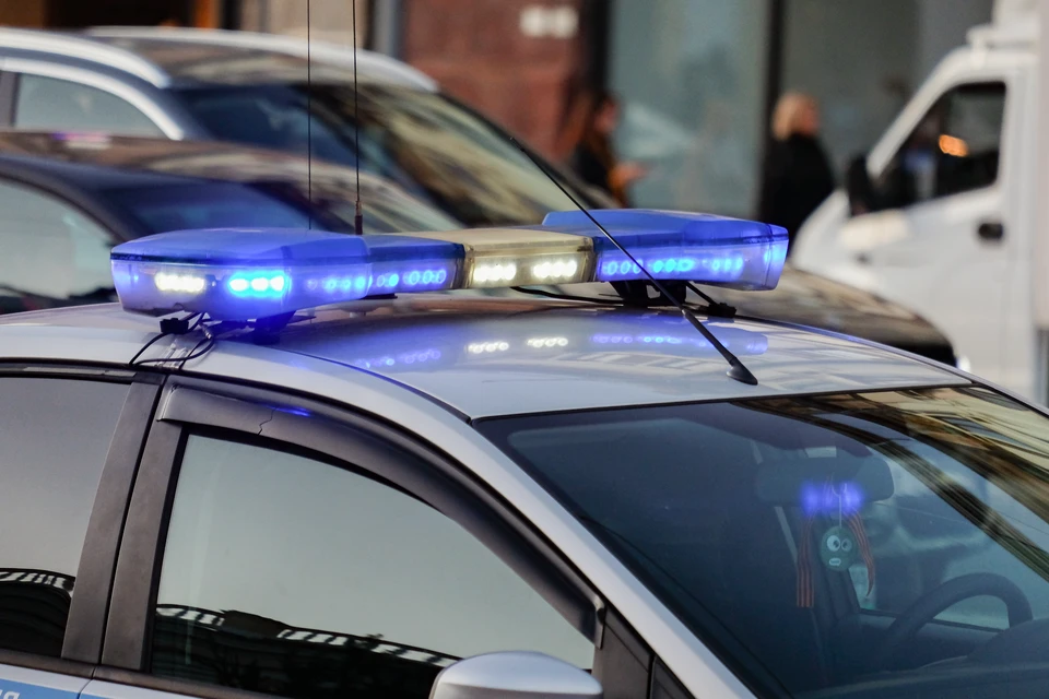 Полиция выясняет причину смерти двух парней в квартире в центре Петербурга