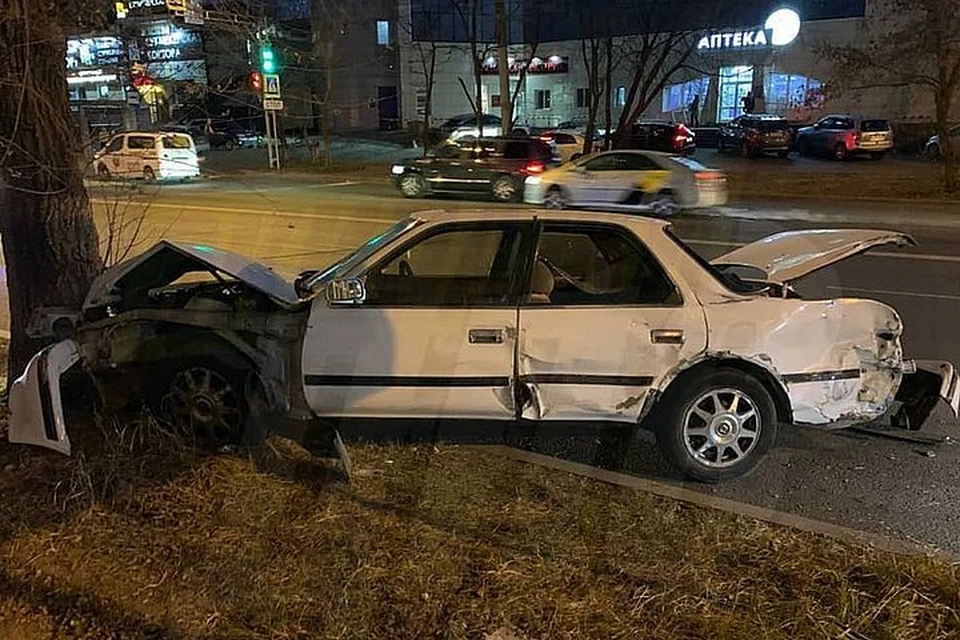 Сresta протаранила авто и врезалась в дерево. Фото: AK_VDK, dps_vl
